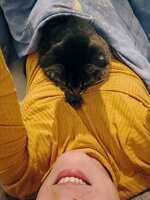 https://images.plurk.com/73CjcpwawRUlGLWxXKbvvC.jpg