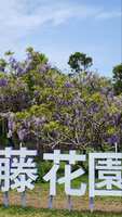 https://images.plurk.com/73P91pHTSLeb92D83by7MX.jpg