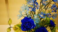 https://images.plurk.com/73QVD9EfJO5UNhhDbKyLNu.jpg