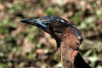 https://images.plurk.com/73VZWBnByRG66EE8JvCy1J.jpg