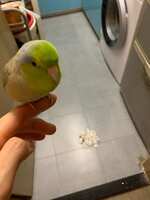 https://images.plurk.com/73W1O9Cwt1UcHisSNeqLKC.jpg