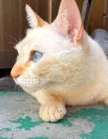 https://images.plurk.com/73aJurJs1YNID3tDHGHFnG.jpg