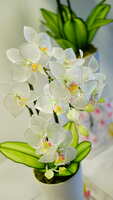 https://images.plurk.com/73biHVNuxkK1yyAGudVRXH.jpg