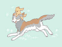 https://images.plurk.com/73eKw6JF9TraelubdBQTmr.jpg