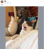 https://images.plurk.com/73ea3B2N6tT8TTcc36zKJ8.png