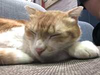 https://images.plurk.com/73hFav81LwguBWLbcO7yWP.jpg