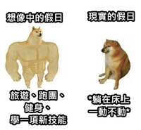 https://images.plurk.com/73k90qR9kOPQ5DDMMP0cO8.jpg