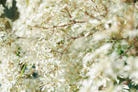 https://images.plurk.com/743lWuyrJ7oejs9KPqLThy.jpg