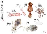 https://images.plurk.com/74AgUioUNJgKpg45h5COfO.png