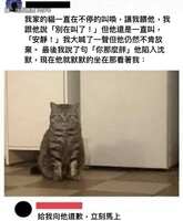 https://images.plurk.com/74BVq1RGif21a64QntXsWQ.jpg
