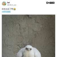 https://images.plurk.com/74GnryLT1c462Ahmxdb7fD.png
