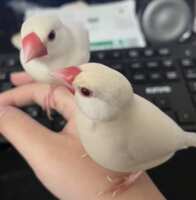 https://images.plurk.com/74IEWusRADsBwLE9lcM8Bq.png