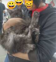 https://images.plurk.com/74J63xCqOqtsBmCA6rc6ud.jpg