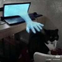 https://images.plurk.com/74Kicmlzk22ccaloom0fAR.jpg