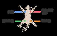 https://images.plurk.com/74OG4aggKOZgN0nRlSic7P.png