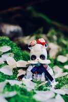 https://images.plurk.com/74jNJNo4033T5IaKsHbVGC.jpg