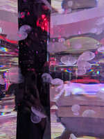 https://images.plurk.com/74kx0J03LmBVjHlAu0GxsK.jpg