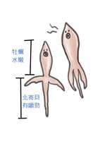 https://images.plurk.com/74mxr6rVpZVyb32CaAt2Lb.jpg