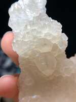 https://images.plurk.com/757OvDgLRX3ob0zCq7yeHf.jpg