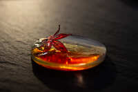 https://images.plurk.com/75B2A7haw85pyH78yzuOtq.jpg