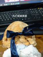 https://images.plurk.com/75B7YrO27sZtVnkGxgbn2S.jpg