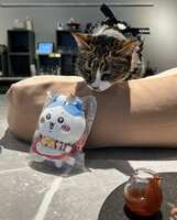 https://images.plurk.com/75BW14MyzBNVK4t8ig9Qq9.jpg