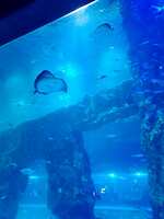 https://images.plurk.com/75GIylbf2Tn9m3q25XCXoY.jpg