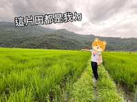 https://images.plurk.com/75GrEa66BgF5gJP7QQtTsA.jpg