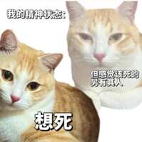 https://images.plurk.com/75KiEm4QTrqJ4MHLSXou9a.png