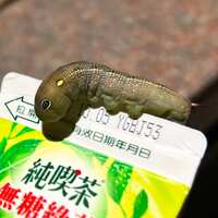 https://images.plurk.com/75M2XTfup7J9fVMkRQIVe9.jpg