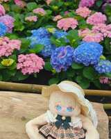 https://images.plurk.com/75Njif9N5SoRTiSayOCSgc.jpg