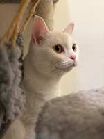 https://images.plurk.com/75QaW3xE6zBVOn2xfd532j.jpg