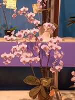 https://images.plurk.com/75UL5r1ZPkmZZjpQrNEyIj.jpg