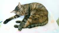 https://images.plurk.com/75UscPfrEHOVrmYXS5wGW7.jpg