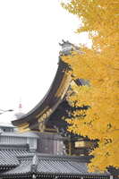 https://images.plurk.com/75c9HZiArKoxuMtxraIjCe.jpg