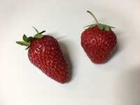 https://images.plurk.com/75mPMxlQnDuRpXTEnqmfnt.jpg