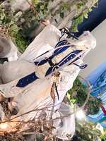 https://images.plurk.com/75nq6r46yPjWgwRuVTq1AC.jpg