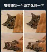 https://images.plurk.com/75peaiggUYnbk5SEOPQhT9.jpg