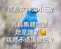 https://images.plurk.com/75r3JvQ7XFowfe5N95QpXC.jpg