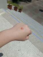 https://images.plurk.com/75rk0qgm1rxPJZ3xoNVDMw.jpg