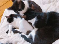 https://images.plurk.com/765CVzRIROWzfEITMFwUnw.gif