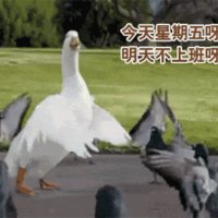 https://images.plurk.com/76CHkJ17q8oprm22ebjG.gif