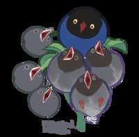 https://images.plurk.com/76D4oUTo97YKr8JS6tI1fT.png