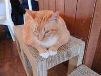 https://images.plurk.com/76DvBKJRWJ0dQfW0scXlH9.jpg