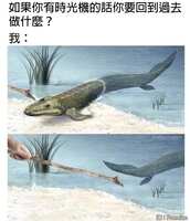 https://images.plurk.com/76IiSwAGSeRg6npTMQeSFG.jpg