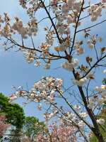 https://images.plurk.com/76QJTlFyErdF3bw6x9YMCU.jpg