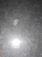 https://images.plurk.com/76QwcTCSwM0i3ZpP7JJ2aQ.jpg