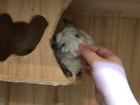 https://images.plurk.com/76S2MMbejTcnw1JMcnJ95U.jpg