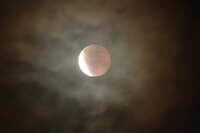 https://images.plurk.com/76TlPwCCacynvzX4bMthPj.jpg