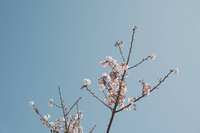https://images.plurk.com/76VBhcg7mlPZ3no4Ldjbmd.jpg